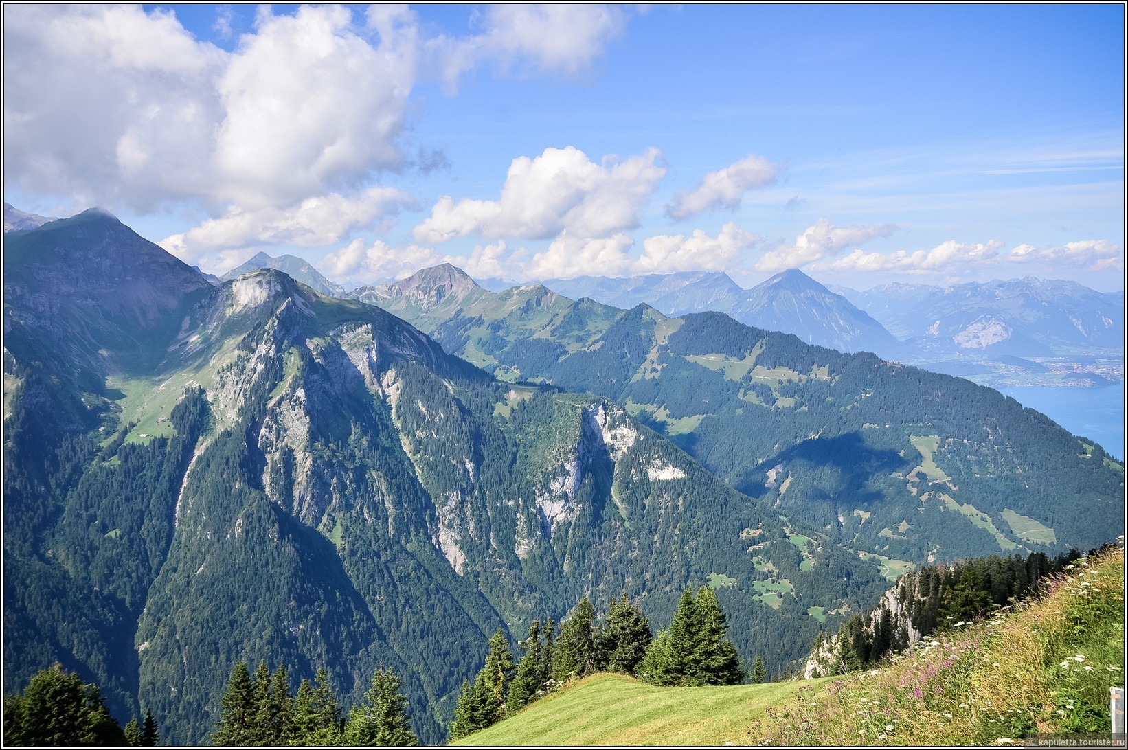 Schynige Platte (Wilderswil)